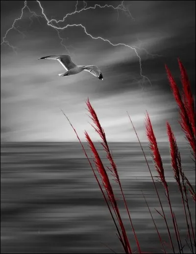 Avec qui Nils Holgersson part-il pour le merveilleux voyage écrit par Selma Lagerlöf ?