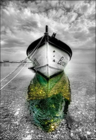 Qui chantait "Il voulait voyager du Sud au Nord, et pour qu'il soit heureux j'étais d'accord, parlez-moi de lui..."