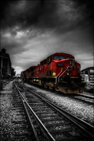 Vers quelle destination Georges Simenon a-t-il choisi son train, titre de son roman ?