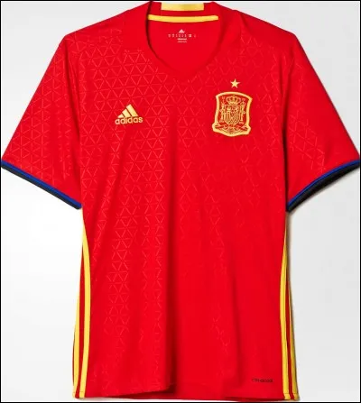 Les vainqueurs de la Coupe du monde 2010 auront-ils la chance de participer à celle de 2018 ?