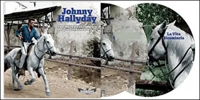 Dans le film "D'où viens-tu Johnny ?", le personnage revient sur les lieux de son enfance et chante...