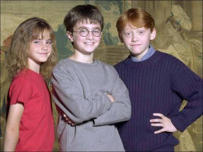 Quel combat a marqu le dbut de l'amiti de Harry, Ron et Hermione ?