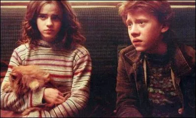 O Ron et Hermione se rendent-ils pour dtruire la coupe Horcruxe ?