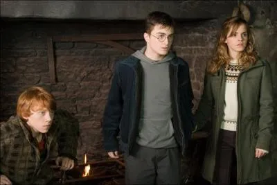 Pourquoi Harry et Ron sont-ils fchs contre Hermione en troisime anne ?