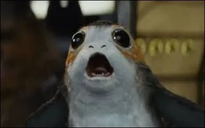 Quel est le nom de cette créature vivant sur la planète Ahch-To ?