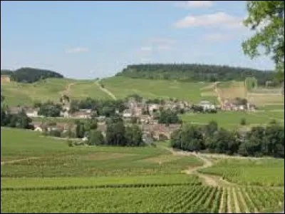 Village viticole, dans l'arrondissement de Chalon-sur-Saône, Mercurey se situe dans le département ...