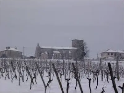 Je vous propose une vue hivernale de Nérigean. Commune de l'aire urbaine Bordelaise, dans l'Entre-Deux-Mers, elle se trouve dans le département ...