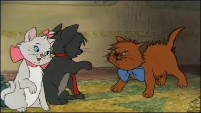 Les petits chatons de Duchesse se prénomment Marie, Berlioz, et ...