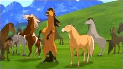 La photo correspond &agrave; quel moment du film ?