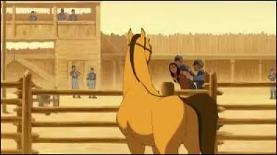 Comment s'appelle l'Indien que Spirit regarde ?