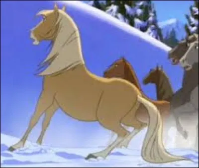 Que va-t-il se passer apr&egrave;s cette image ?