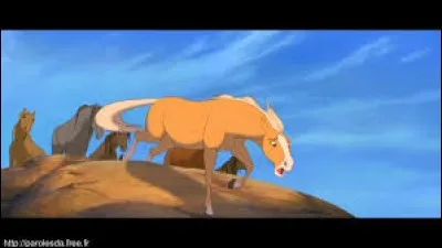 La m&egrave;re de Spirit veut ...