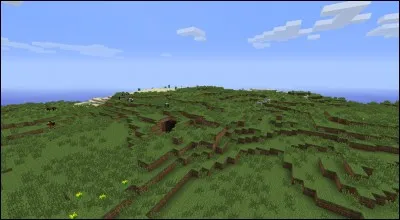 Quel est ce type de biome ?