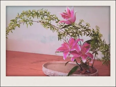 L'ikebana est un art floral. Mais de quel pays est-il la tradition ?