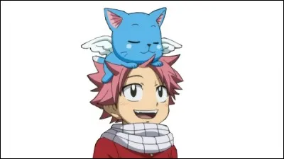 Natsu petit, que mange-t-il ?