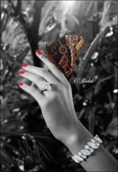 Lequel de ces os n'est pas un os de la main ?