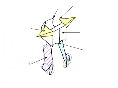Indiquez le nom de la structure osseuse indiquée par la flèche.