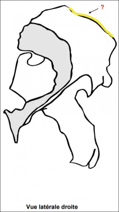 Comment se nomme ce bord ?