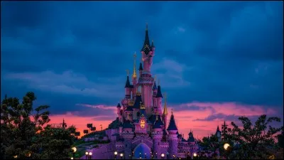 Et enfin, en quelle année l'attraction "Space Mountain" a-t-il ouvert ses portes ?