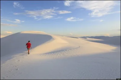 On dirait de la neige ! Détrompez-vous, nous sommes...