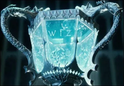 Que veulent dire les inscriptions WIZ ?