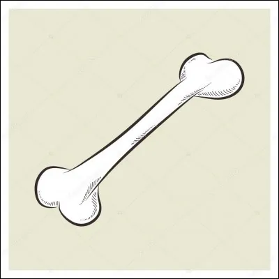 Dans notre oreille, nous avons trois os.