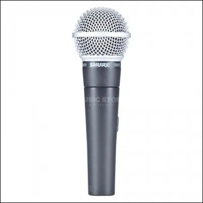 Ton chanteur préféré est...