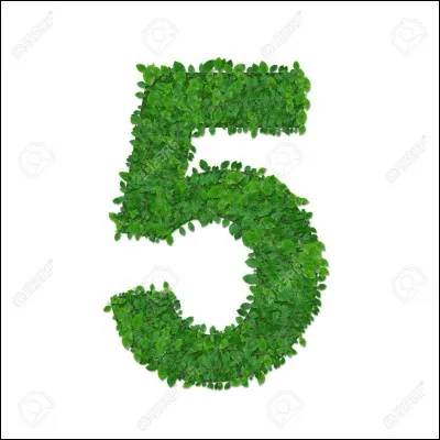 Le cheval fjord peut avoir 5 robes.