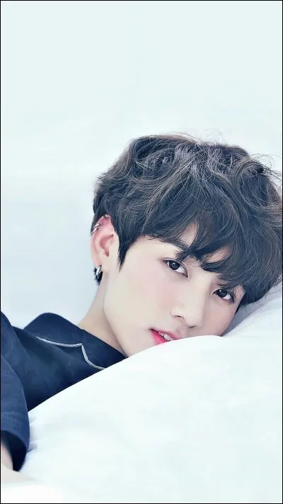 Quelle est la couleur préférée de Jungkook ?