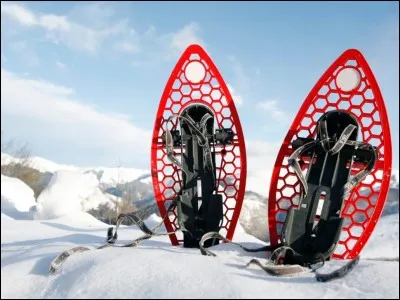 Quand les gens font-ils de la raquette ?