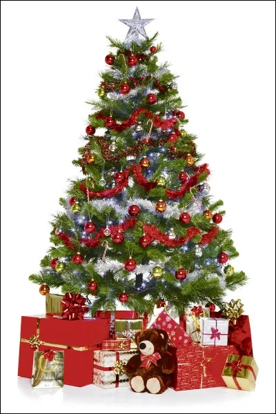 Quand les gens vont-ils chercher leur sapin de Noël ?