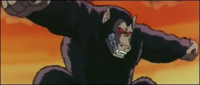 Pour quelle raison Gokū se transforme-t-il en Ōzaru lors du tournoi ?