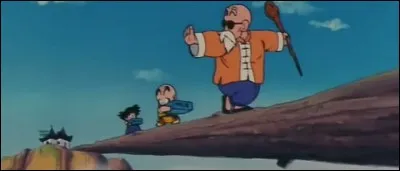 Parmi les suivantes, quelle est la seule chose qui ne fasse pas partie de l'entrainement hardcore de Kame Sennin ?