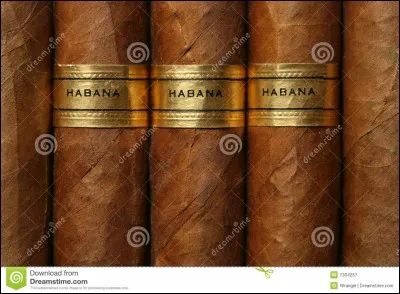 Ville canadienne qui serait complètement ignorée si le plus grand prédateur terrestre n'y séjournait pas tous les ans !