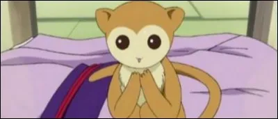 Dans "Fruits Basket", quel membre de la famille Sōma se transforme en singe quand il est touché par un membre du sexe opposé ?