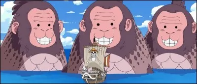 Parmi les suivants, le(s)quel(s) de ces héros de "One Piece" n'a (n'ont) absolument rien à faire dans ce quizz ?