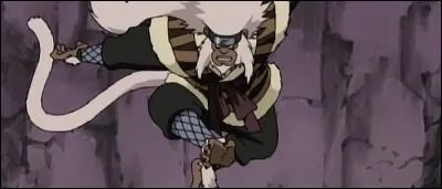 "Sarutobi", en japonais, veut dire "singe bondissant".
Cochez le seul personnage parmi les suivants qui ne porte pas ce nom de famille.