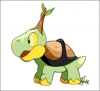 Quel est ce Pokémon ?