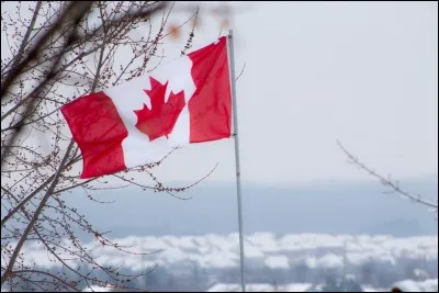 Après un long voyage en mer, nous voici au Canada. La première chose que nous y avons vu est ce joli drapeau bicolore. De quel arbre provient la feuille rouge en son centre ?