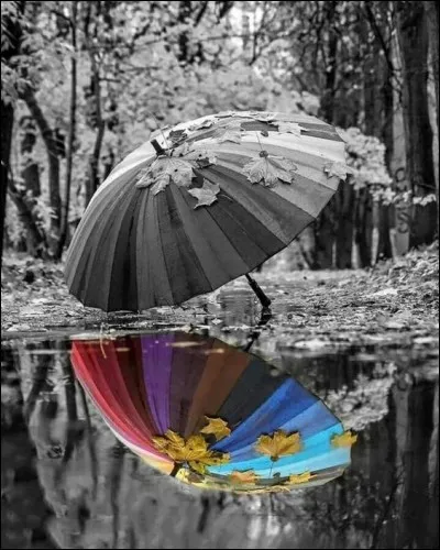 En 1871, quelle ville américaine située dans l'Illinois, a été victime d'un grand incendie probablement provoqué par une pluie de météorites ?