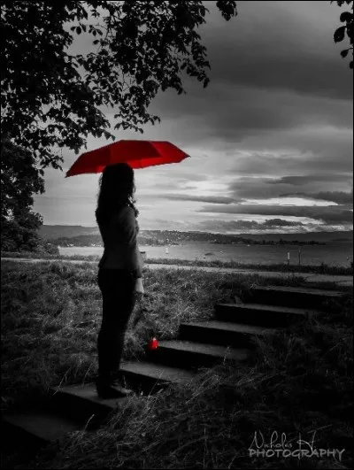 Qui chantait "Avec de l'eau de pluie et des parfums d'encens, elle voyage de temps en temps" ?