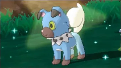 Quel est ce Pokémon ?