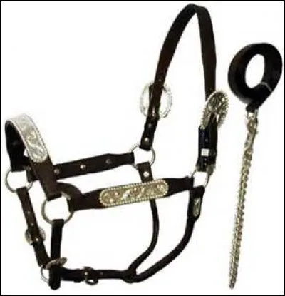 Comment s'appellent les six parties du licol ?