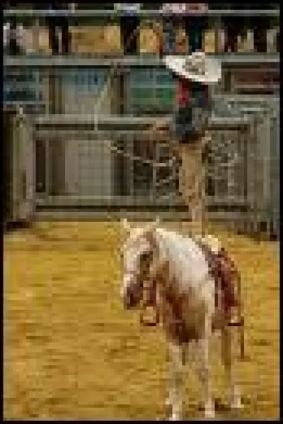 Quel est l'équipement que l'on porte la plupart du temps en concours western ?