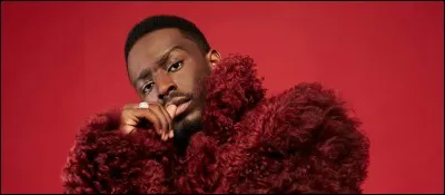 Qui est ce chanteur ?