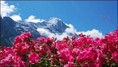 De quoi rêver... Emmenez-moi en...