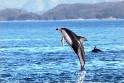 Combien y a-t-il d'océans sur Terre ?