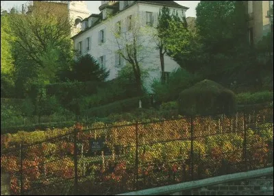 À Paris, il y a les vignes de...