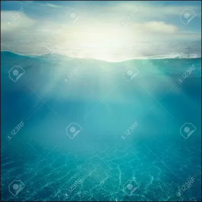 T'est-il déjà arrivé de faire des rêves où tu pouvais respirer sous l'eau ?