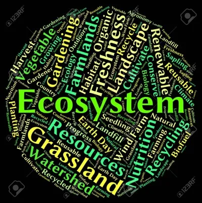 Il y a peu d'écosystèmes différents sur Terre.